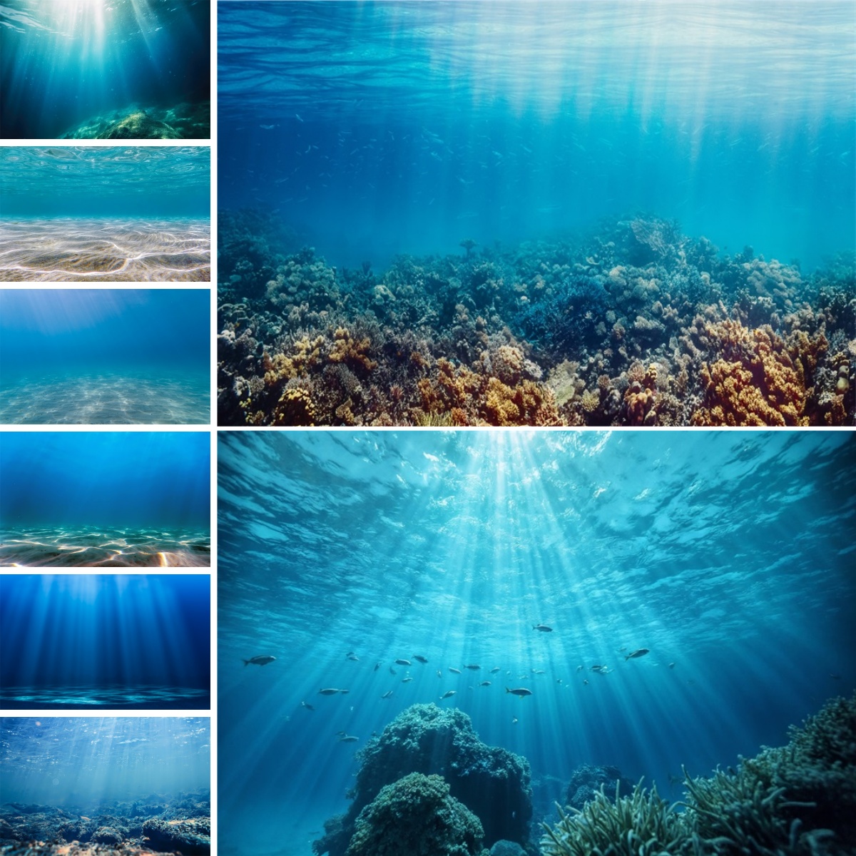 Blue Underwater World Backdrop - Photo Develop Tank recension och pris